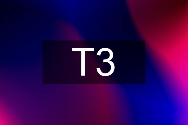 T3