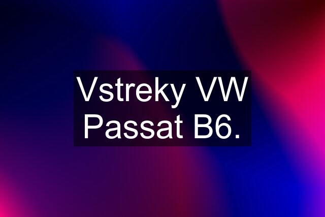 Vstreky VW Passat B6.