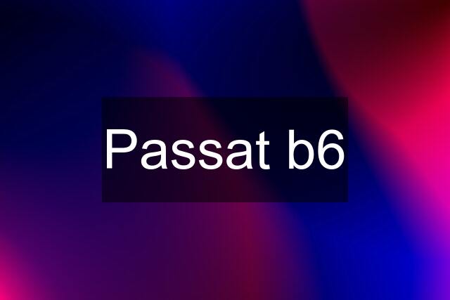 Passat b6