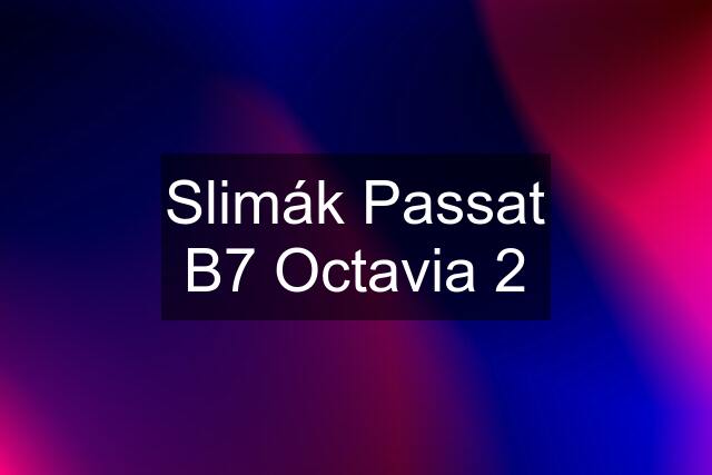 Slimák Passat B7 Octavia 2