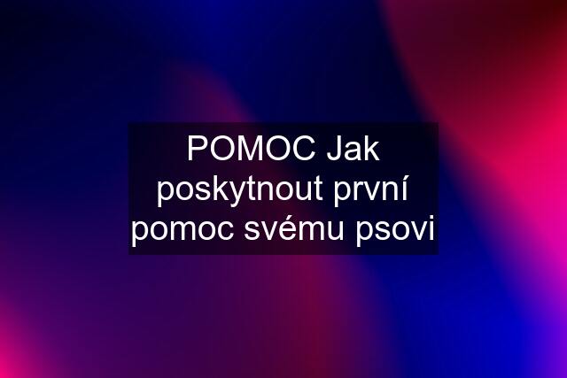 POMOC Jak poskytnout první pomoc svému psovi