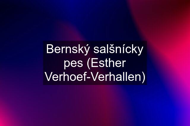 Bernský salšnícky pes (Esther Verhoef-Verhallen)