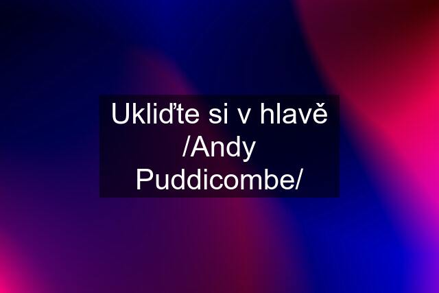 Ukliďte si v hlavě /Andy Puddicombe/