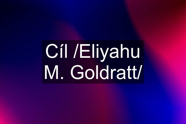 Cíl /Eliyahu M. Goldratt/