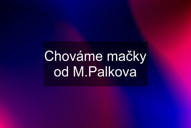 Chováme mačky od M.Palkova