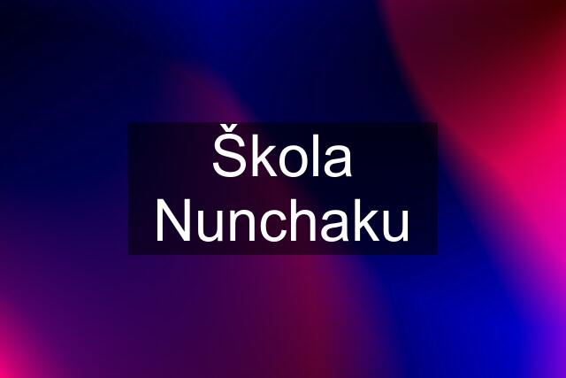 Škola Nunchaku