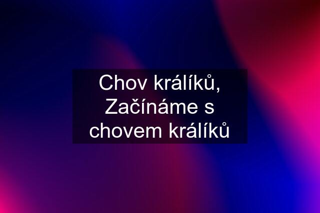 Chov králíků, Začínáme s chovem králíků