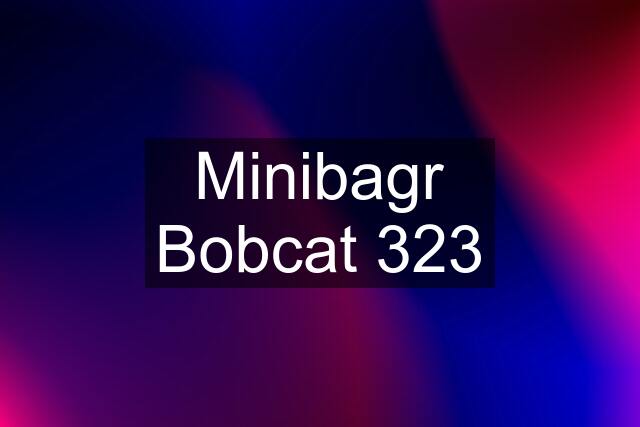 Minibagr Bobcat 323