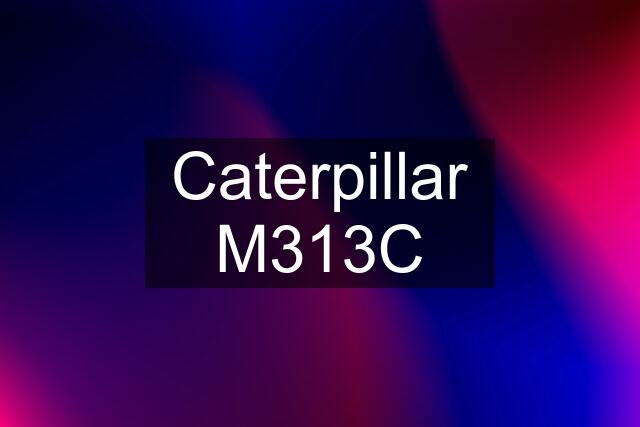 Caterpillar M313C