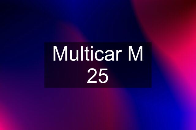 Multicar M 25