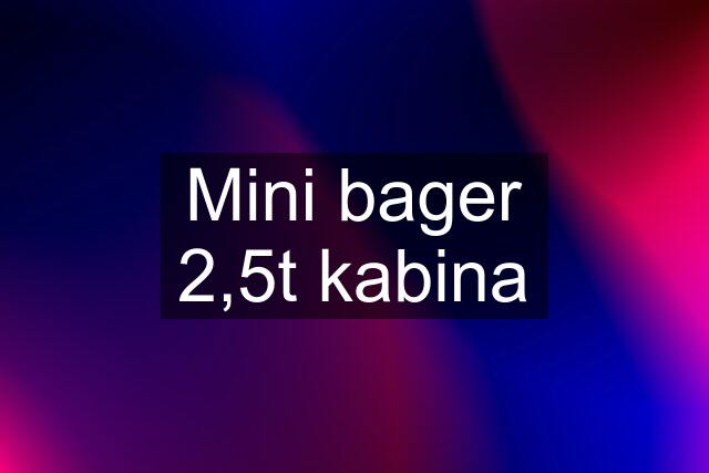 Mini bager 2,5t kabina