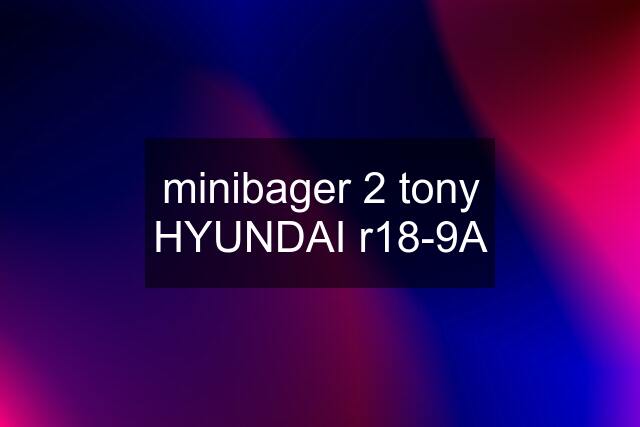 minibager 2 tony HYUNDAI r18-9A