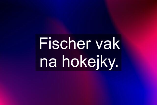 Fischer vak na hokejky.