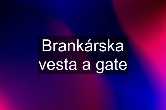 Brankárska vesta a gate