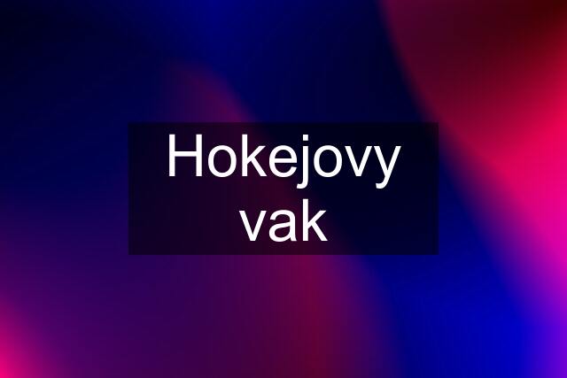 Hokejovy vak