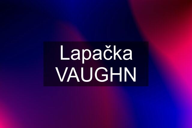 Lapačka VAUGHN