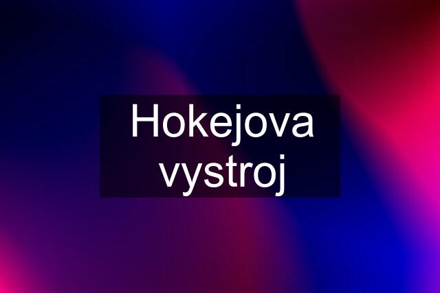 Hokejova vystroj