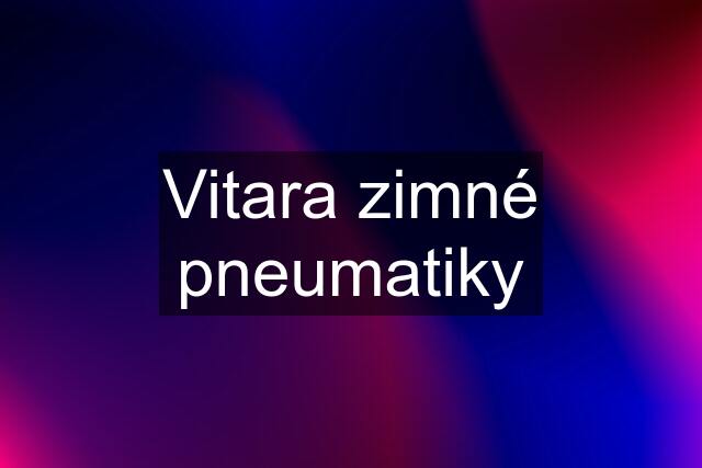 Vitara zimné pneumatiky