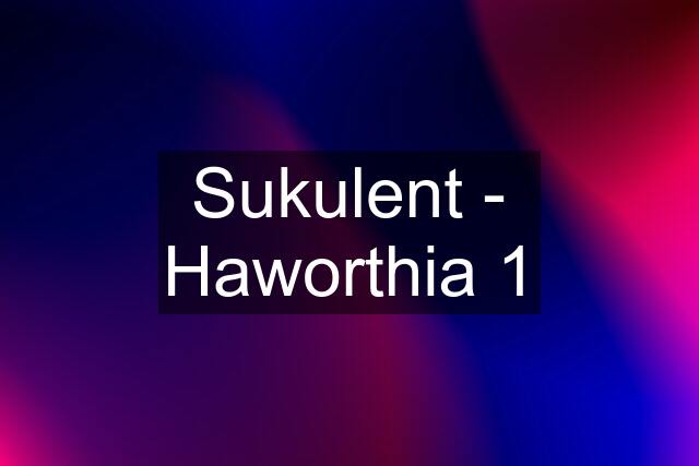 Sukulent - Haworthia 1