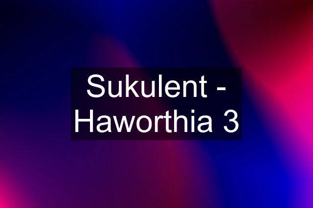 Sukulent - Haworthia 3