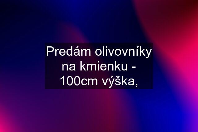 Predám olivovníky na kmienku - 100cm výška,