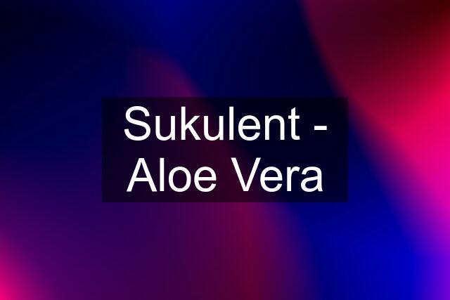 Sukulent - Aloe Vera