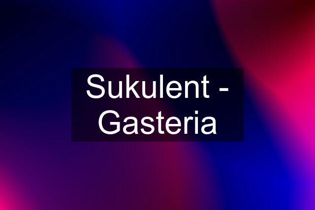 Sukulent - Gasteria