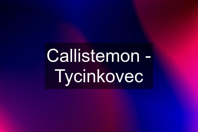 Callistemon - Tycinkovec