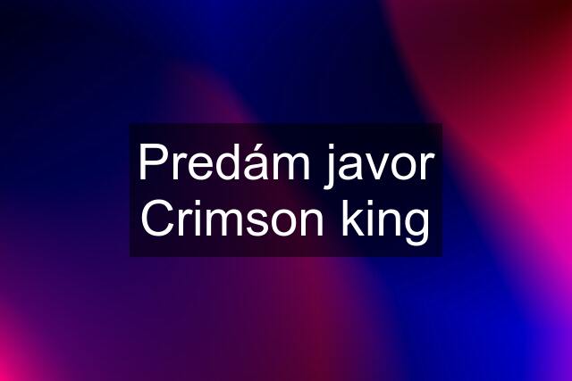 Predám javor Crimson king