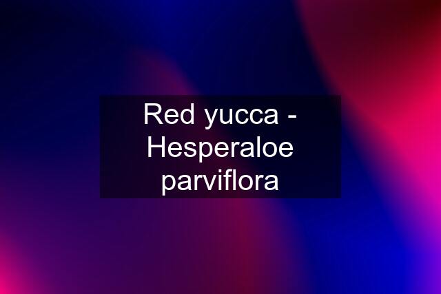 Red yucca - Hesperaloe parviflora
