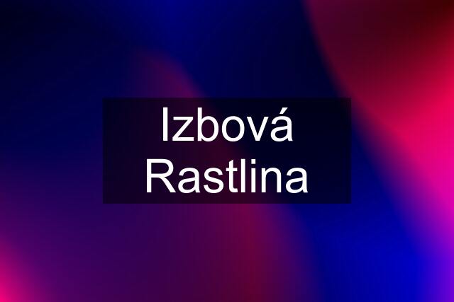 Izbová Rastlina