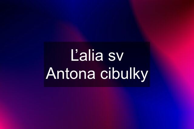 Ľalia sv Antona cibulky