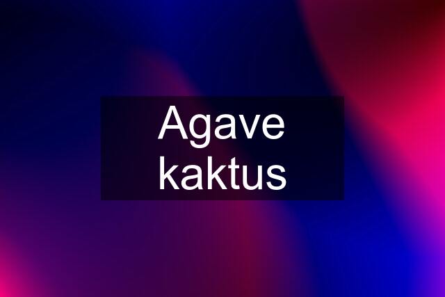 Agave kaktus