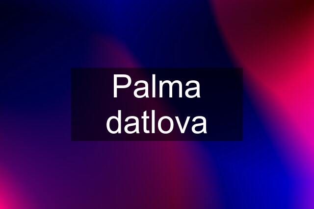 Palma datlova