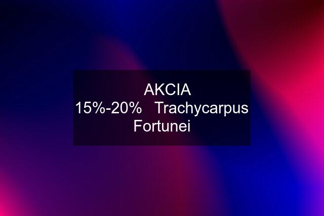 ❗️AKCIA 15%-20%❗️Trachycarpus Fortunei