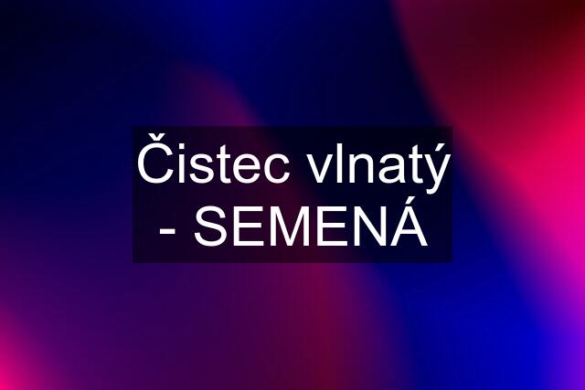 Čistec vlnatý - SEMENÁ