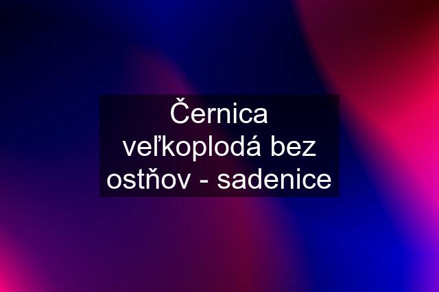 Černica veľkoplodá bez ostňov - sadenice