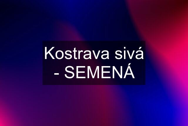 Kostrava sivá - SEMENÁ