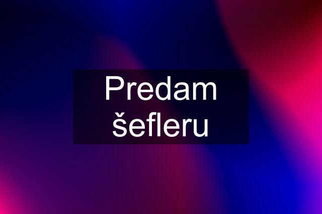 Predam šefleru