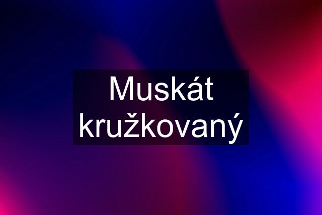 Muskát kružkovaný