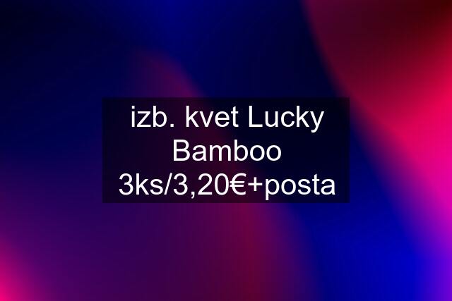 izb. kvet Lucky Bamboo 3ks/3,20€+posta