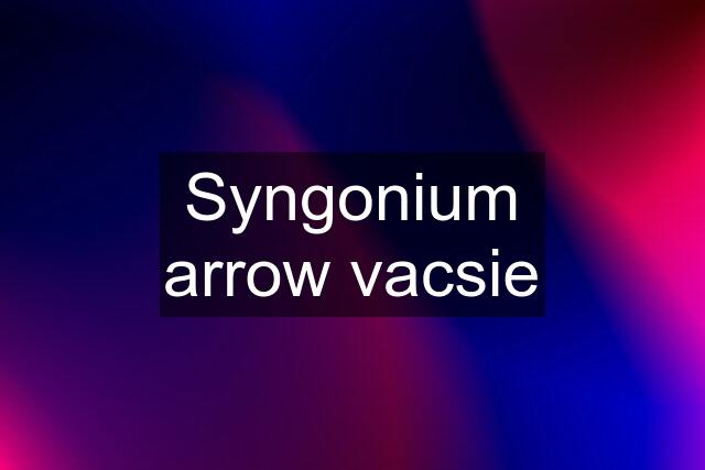 Syngonium arrow vacsie