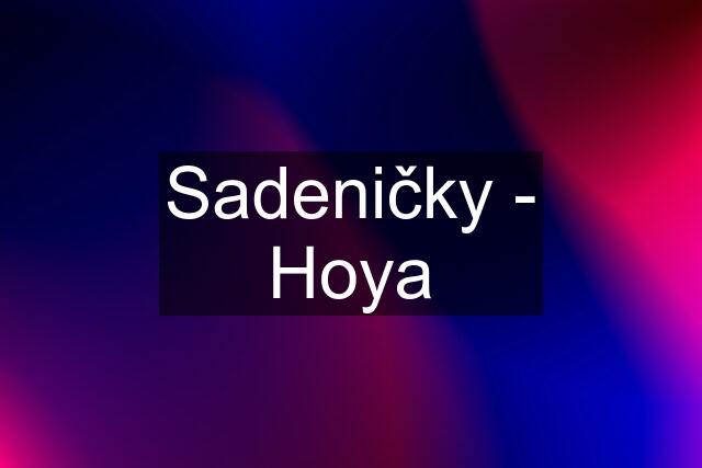 Sadeničky - Hoya