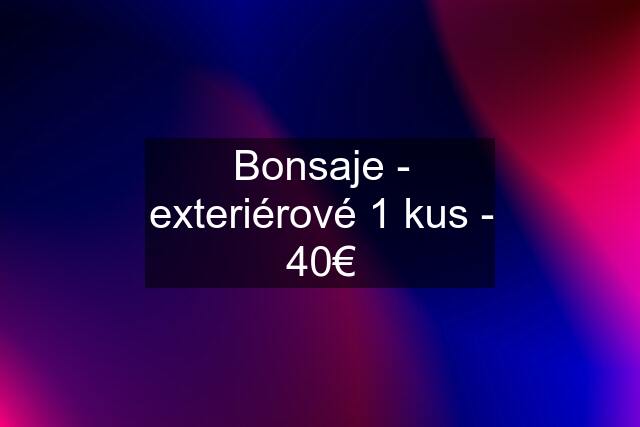 Bonsaje - exteriérové 1 kus - 40€