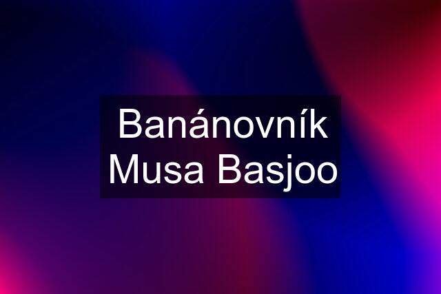 Banánovník Musa Basjoo