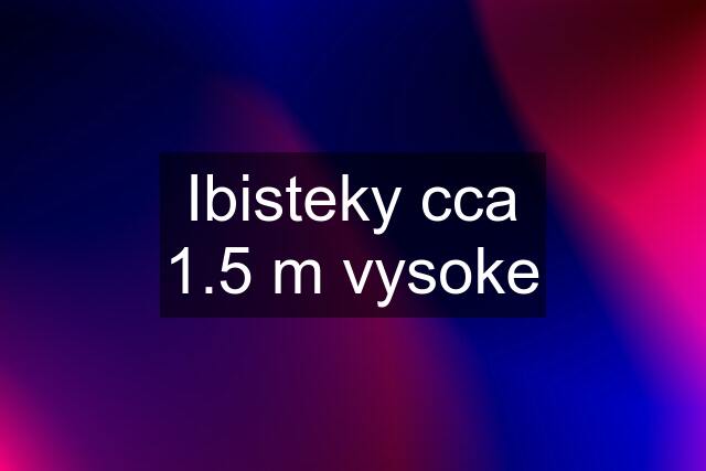 Ibisteky cca 1.5 m vysoke