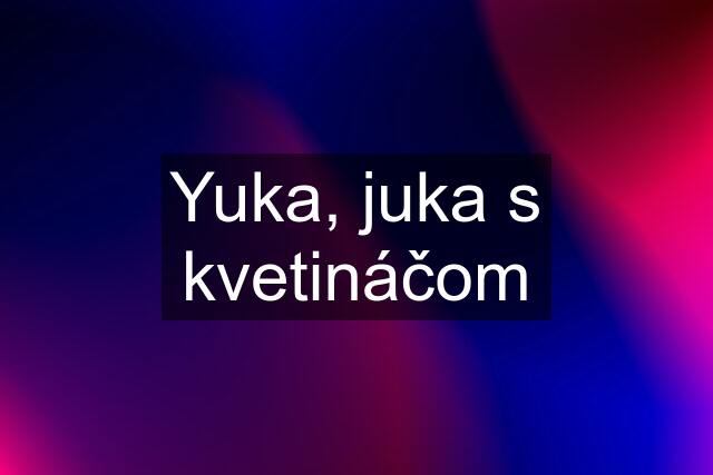 Yuka, juka s kvetináčom