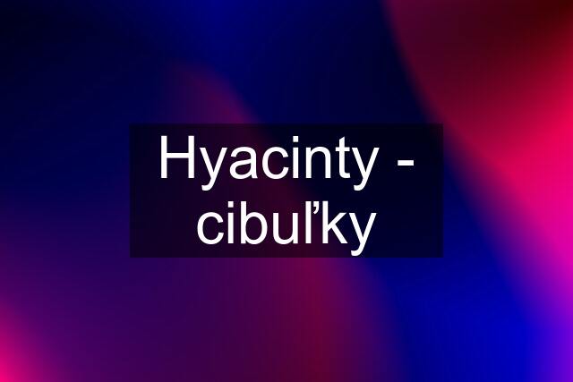 Hyacinty - cibuľky