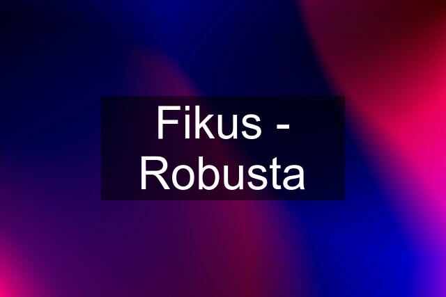 Fikus - Robusta