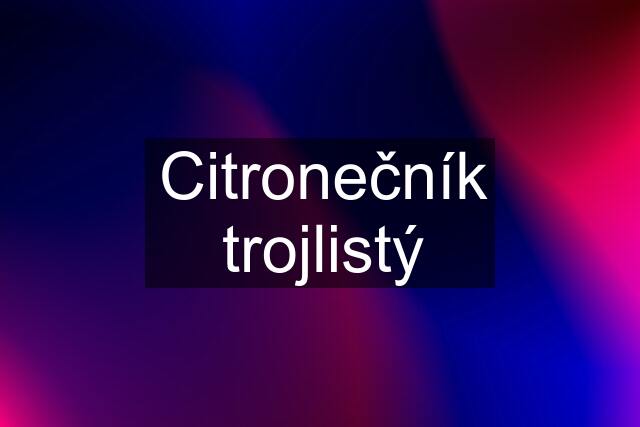 Citronečník trojlistý